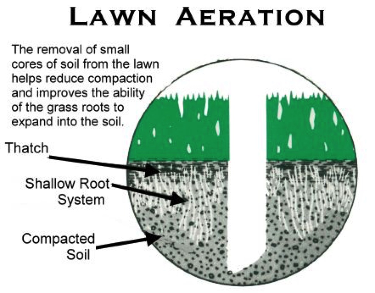 5 Reasons To Aerate Your Customer's Lawn This Fall