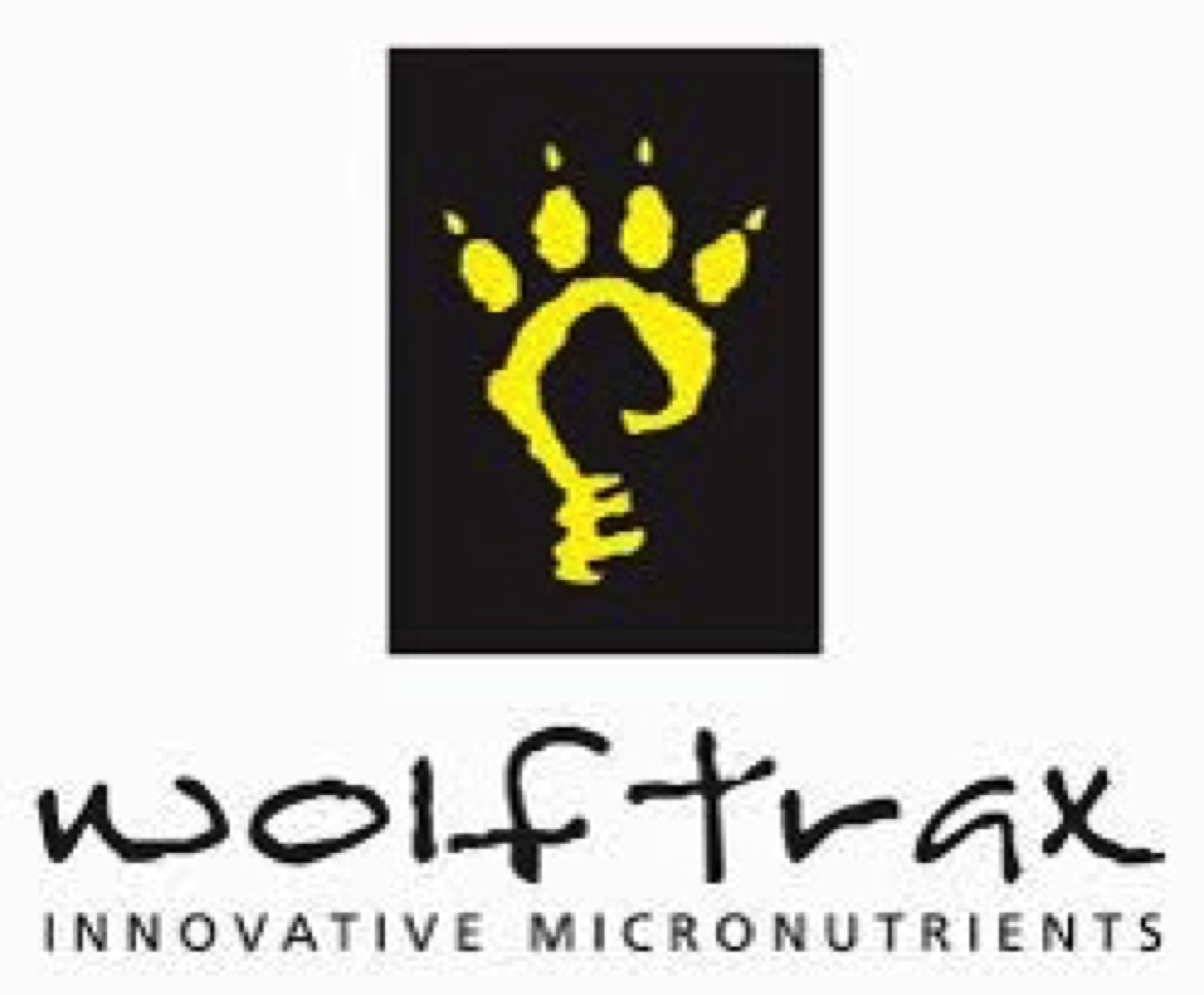 Wolf Trax Logo