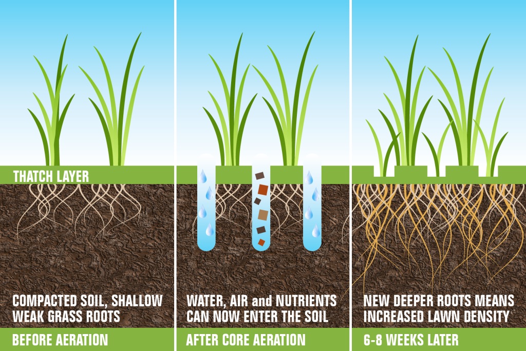 Aeration Benefits