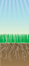 Diagram of nutrients and oxygen (K, P, O₂) being blocked or reflected away from soil, shown with an upward arrow away from grass roots.