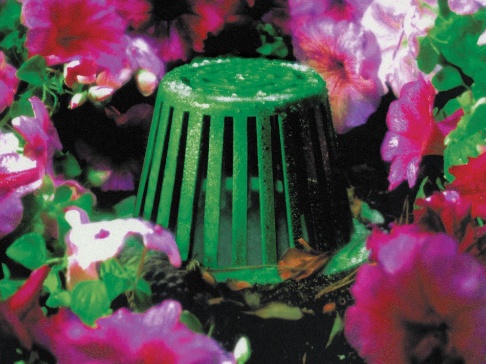 NDS domed atrium grate installed in a garden bed