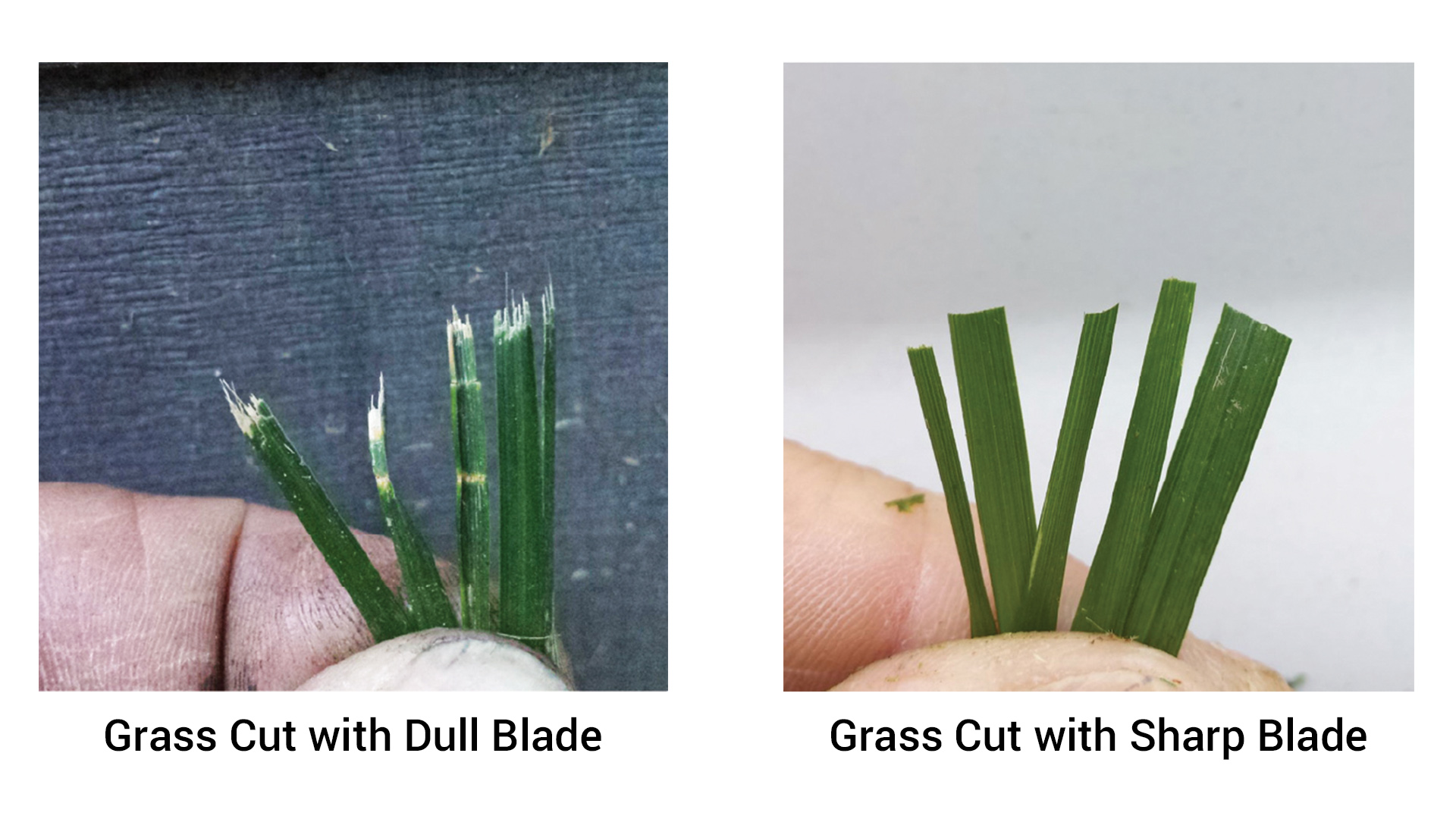 Selecting the Right Mower Blade