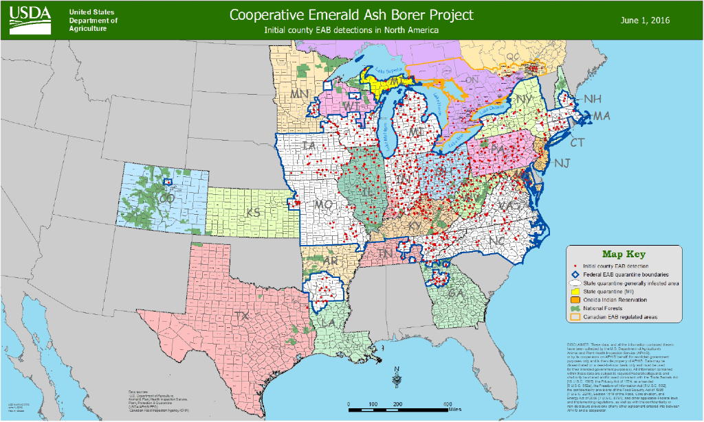 The Emerald Ash Borer Has Arrived In Texas!