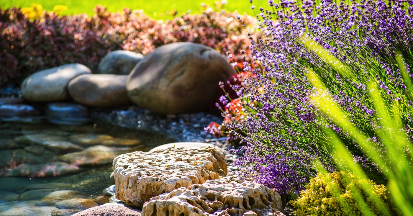 creek and rocks