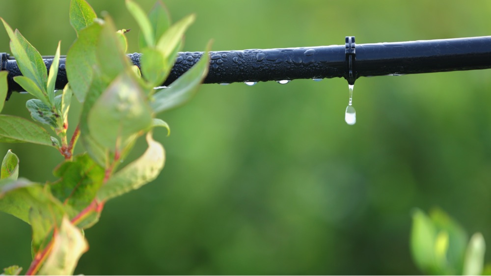 Irrigation System