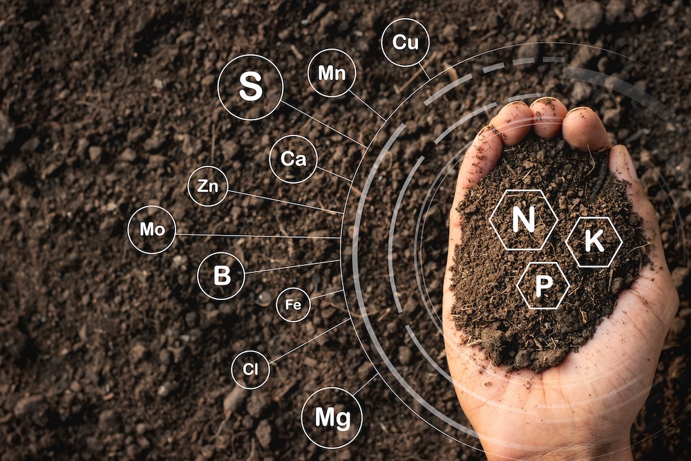 Essential Agronomic Practices for Healthy Landscapes and Turf