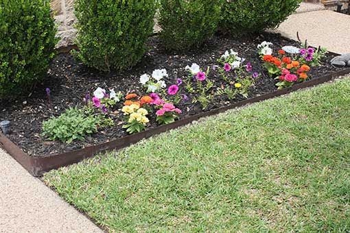 Edge of a flower bed