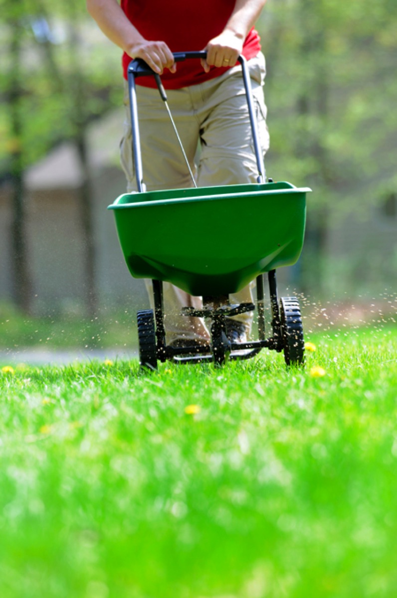 How To Overseed A Lawn When To Overseed A Lawn