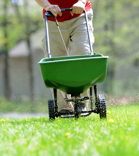 Get Ready for Spring!