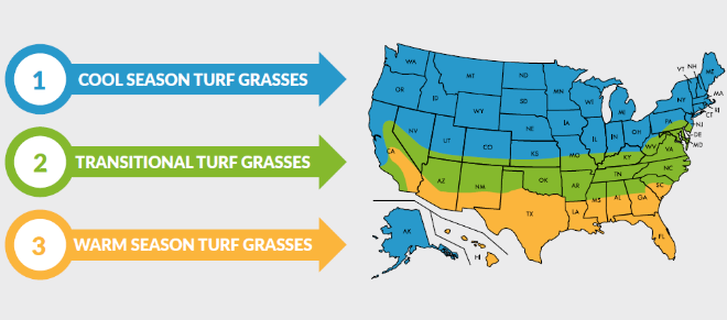 What's the Right Turf?