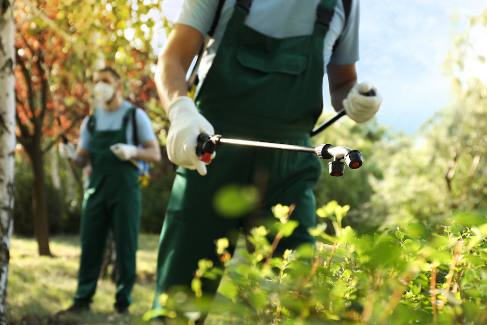 Water Conditioner - The Secret to Effective Weed Management