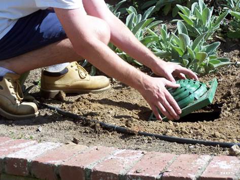 Water in Landscape Bed