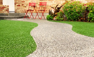 Turf and walkway with plants